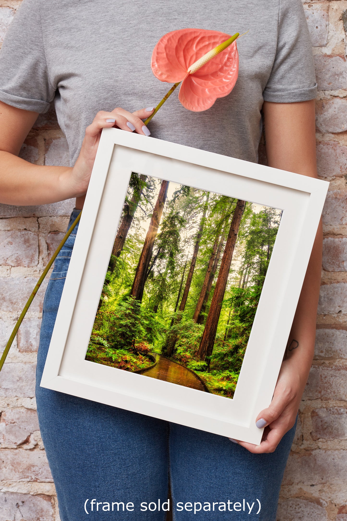 Redwood Trees Forest Picture Nature Photo, Forest Bathing House Decor, Relaxing Wall Art for Meditation, Home and Office