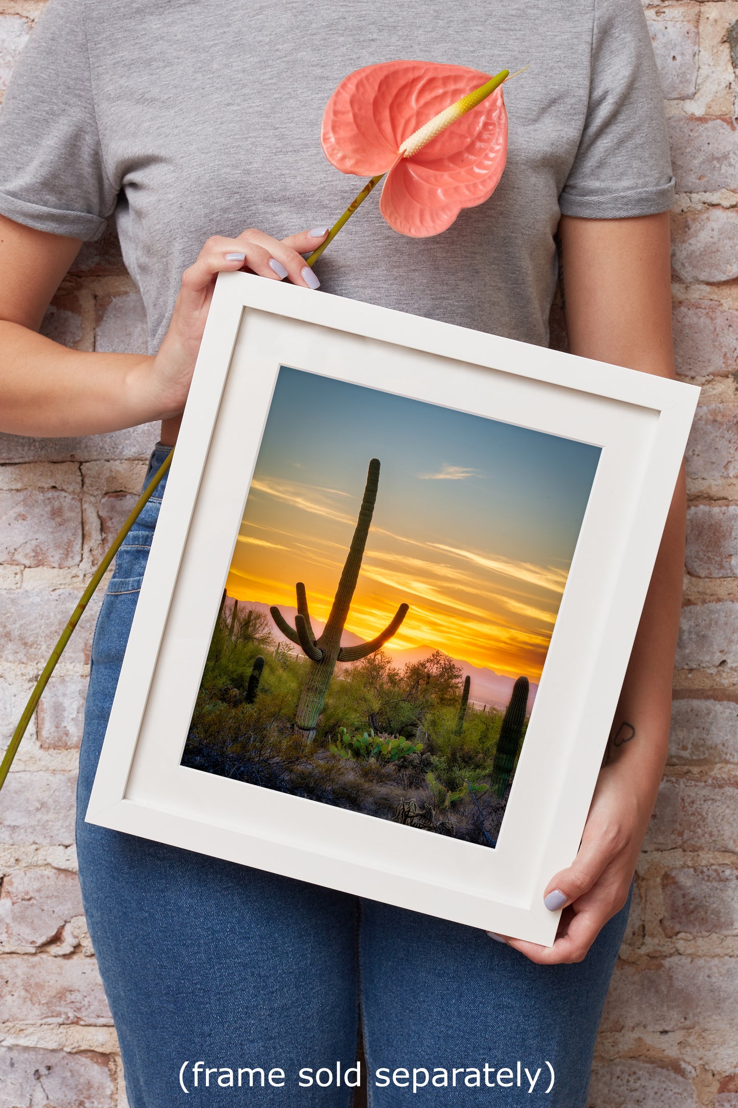 Saguaro National Park Arizona Desert Picture Nature Photo, Bohemian Style Relaxation Artwork, Southwestern Sonoran Desert House Decor
