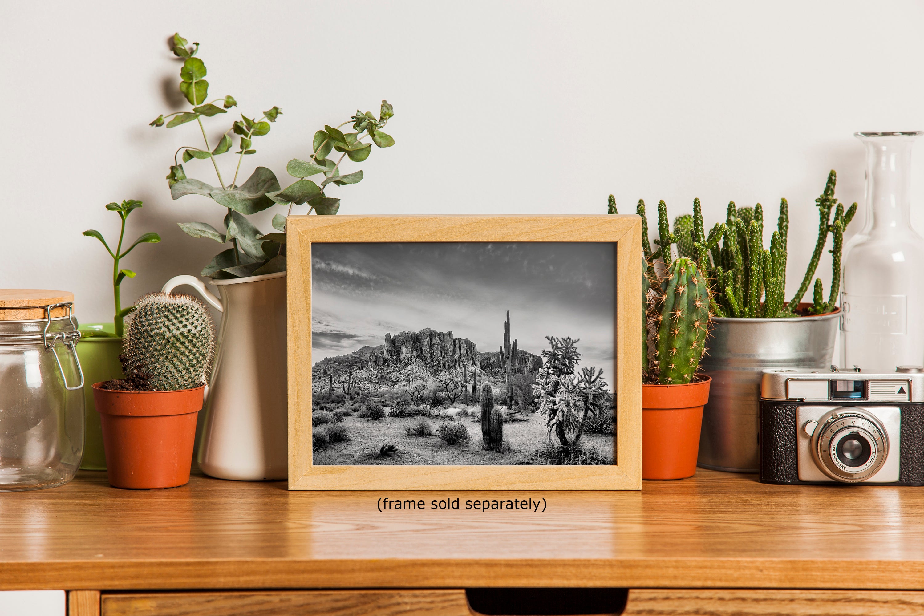 Arizona Desert Picture in Black and White, Saguaro Cactus Artwork Nature Photo, Southwestern Wall Art of Superstition Mountains at Lost Dutchman State Park