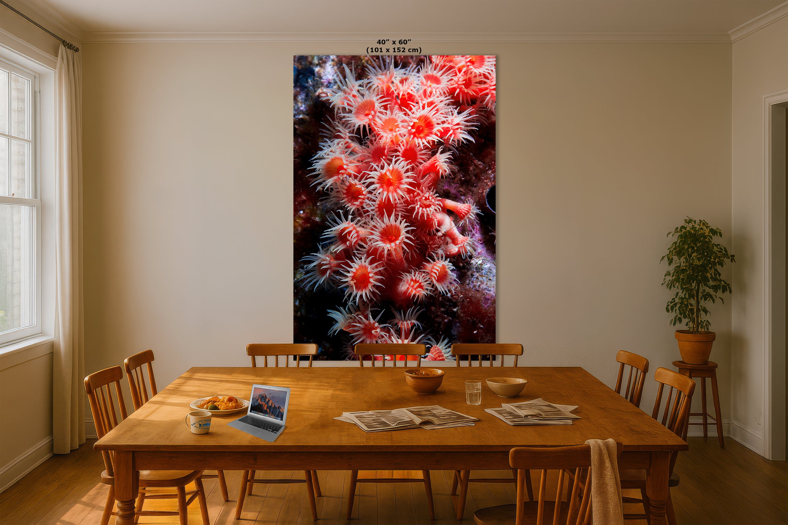 Sea Anemone Picture Ocean Life Underwater Scenery Nature Photo, Marine Biology Wall Art, Coral Reef Decor, Office & Dorm Room Decoration