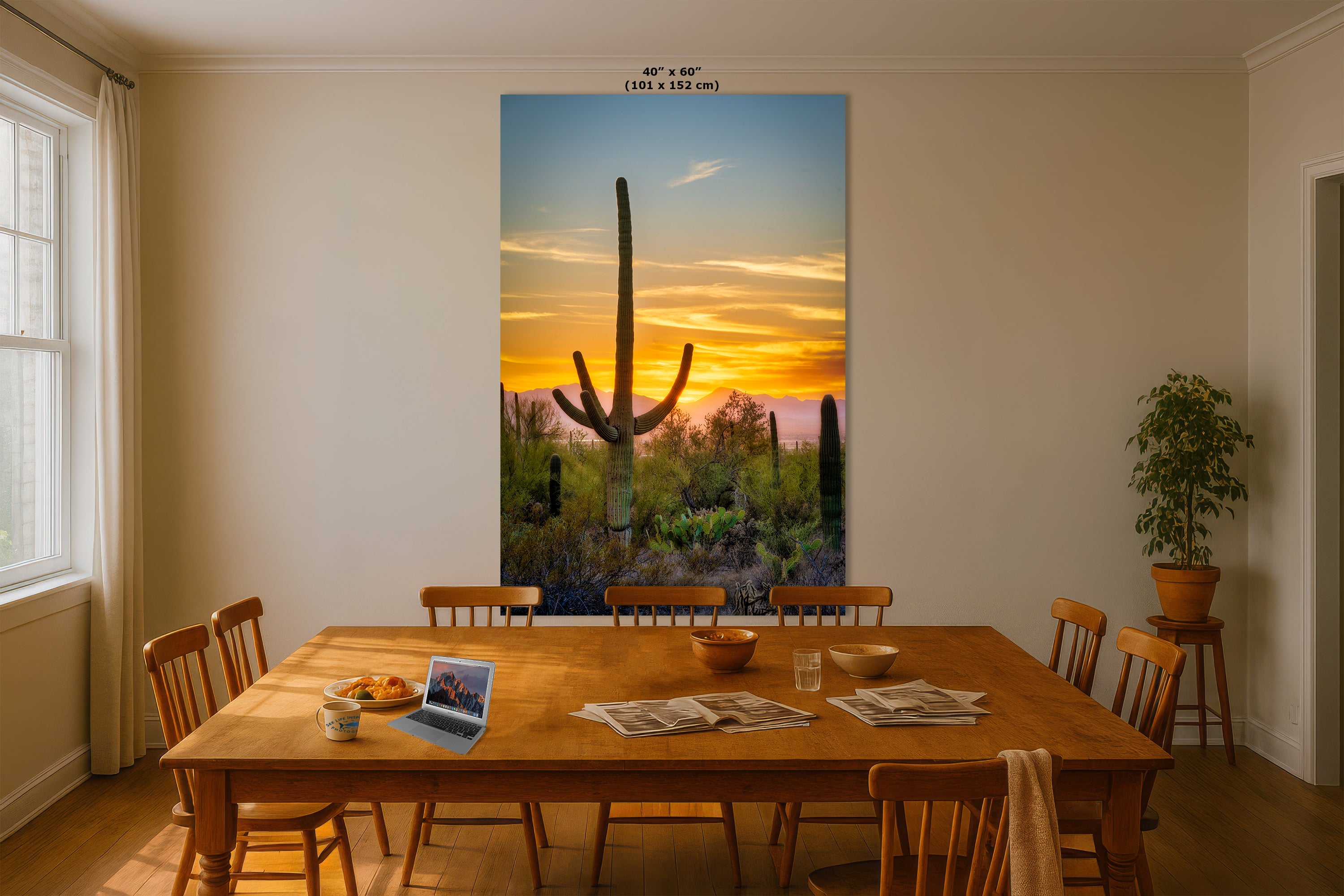 Saguaro National Park Arizona Desert Picture Nature Photo, Bohemian Style Relaxation Artwork, Southwestern Sonoran Desert House Decor