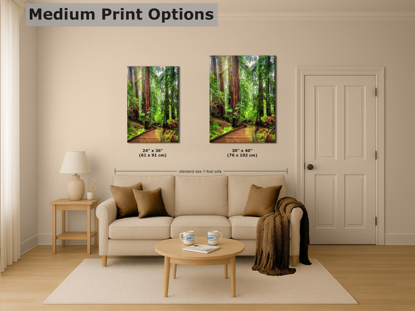 Redwood Trees Forest Picture Sunrise Nature Photo, Forest Bathing House Decor, Relaxing Wall Art for Meditation, Home and Office