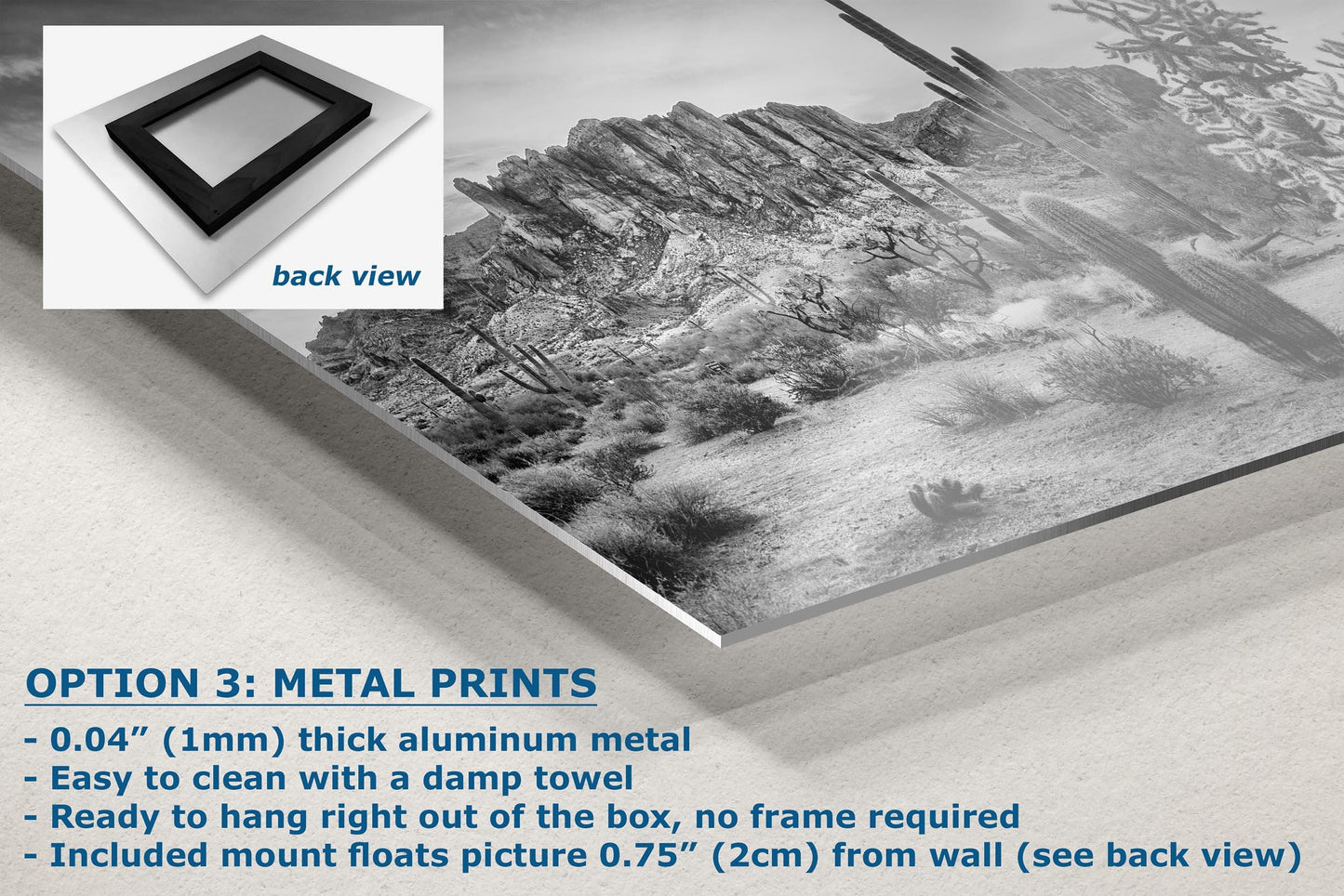 Arizona Desert Picture in Black and White, Saguaro Cactus Artwork Nature Photo, Southwestern Wall Art of Superstition Mountains at Lost Dutchman State Park