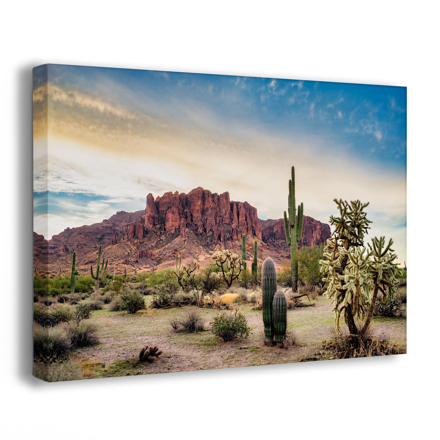 Arizona Desert Picture, Colorful Saguaro Cactus Artwork Nature Photo, Southwestern Wall Art of Superstition Mountains at Lost Dutchman State Park
