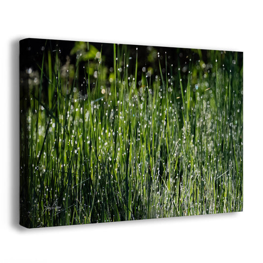 Green Grass Impressionist Art, Nature Photo Relaxation Artwork, Forest Picture Wall Decor for Bohemian Style, Office, Meditation & Dorm Room
