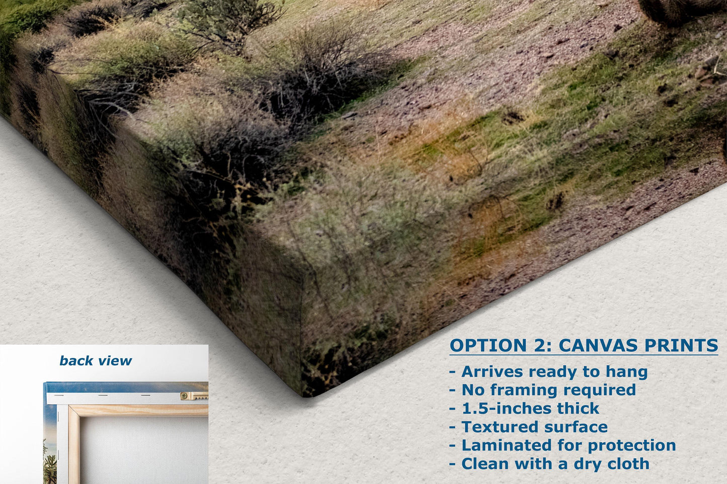 Arizona Desert Picture, Colorful Saguaro Cactus Artwork Nature Photo, Southwestern Wall Art of Superstition Mountains at Lost Dutchman State Park