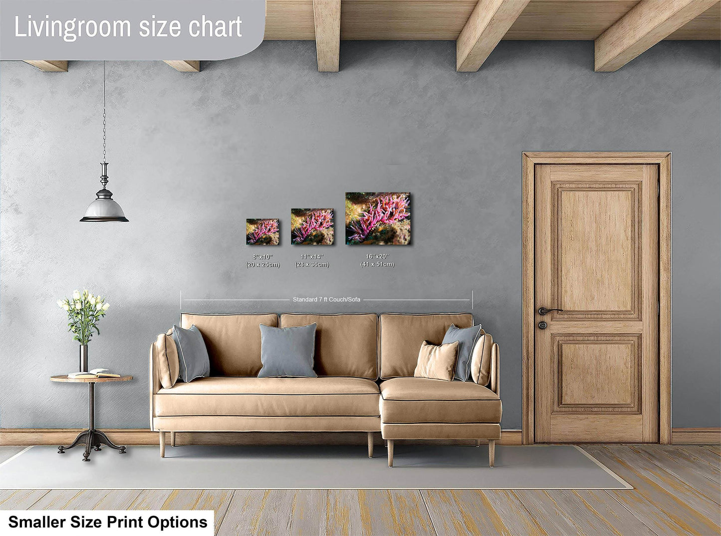 Sea Anemone Picture Ocean Life Underwater Scenery Nature Photo, Marine Biology Coral Reef Art, Vibrant Marine Wildlife Wall Decor