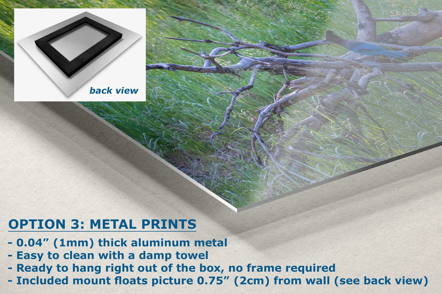a picture of a metal print of a tree