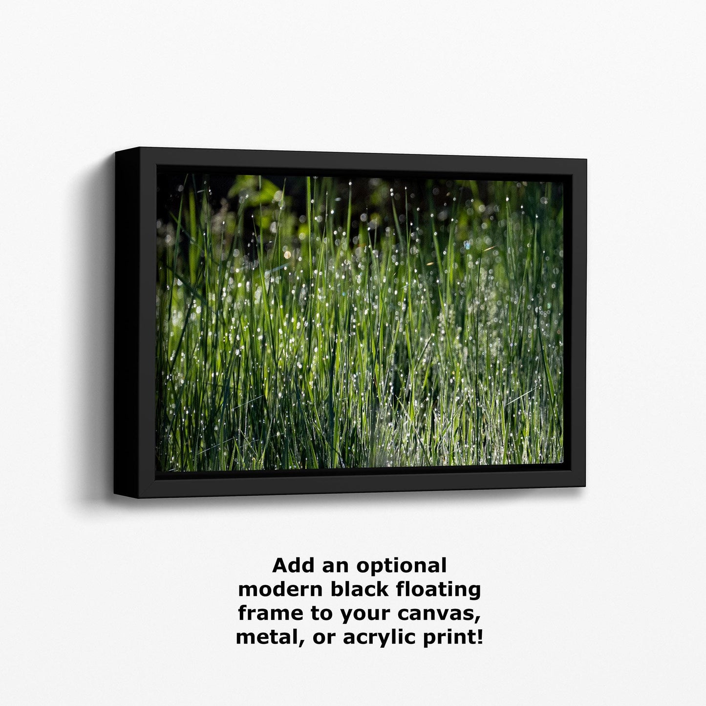 Green Grass Impressionist Art, Nature Photo Relaxation Artwork, Forest Picture Wall Decor for Bohemian Style, Office, Meditation & Dorm Room