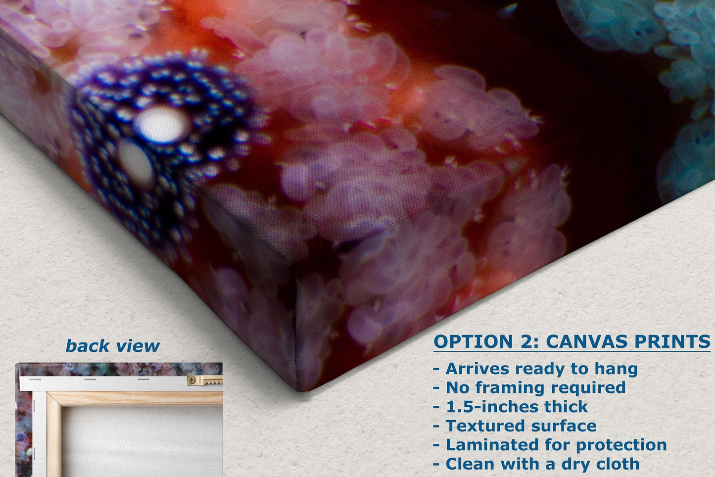 Ocean Life Starfish Photo, Marine Biology Underwater Scenery, Vibrant Coral Reef, Nature Photography for Office Decor, Relaxation Artwork