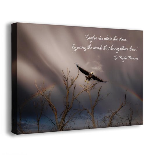 Myles Munroe Motivational Quote - Rise Above the Storm - Inspirational Wall Art, Peaceful Nature Photo Art
