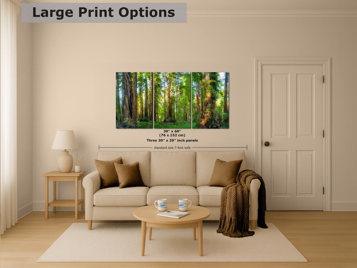 Redwood Trees Forest Picture Nature Photo, Forest Bathing Relaxation Artwork for Calming Meditation, Office and House Decor