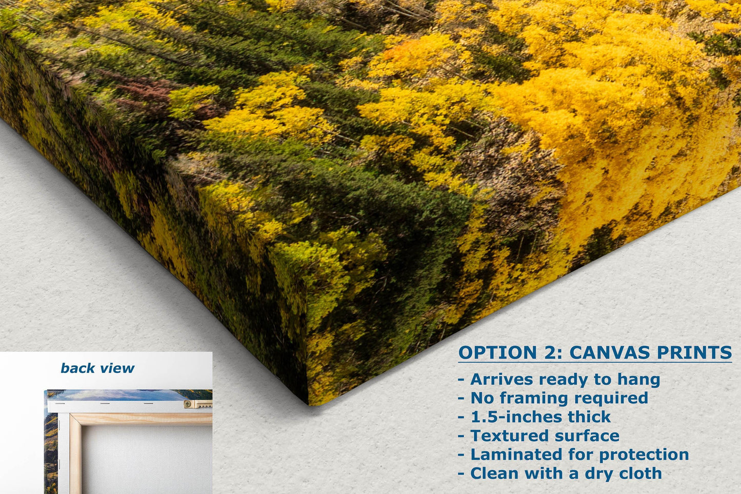 Colorado San Juan Mountain Picture, Fall Colors Aspen Trees Forest, Million Dollar Highway Nature Photo for Relaxation Artwork, Meditation and House Decor