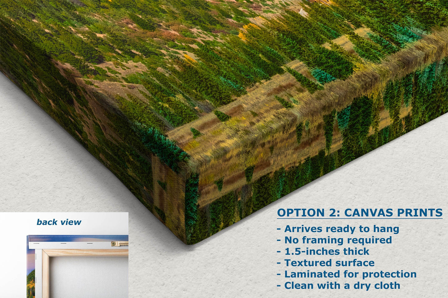 Telluride Colorado San Juan Mountain Picture, Fall Colors Aspen Trees Forest Picture Nature Photo for Relaxation Artwork, Meditation and House Decor