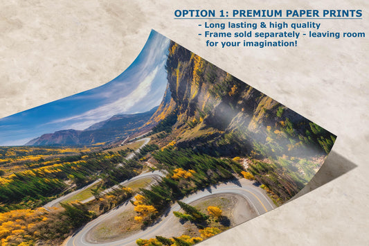 Colorado San Juan Mountain Picture, Fall Colors Aspen Trees Forest, Million Dollar Highway Nature Photo for Relaxation Artwork, Meditation and House Decor