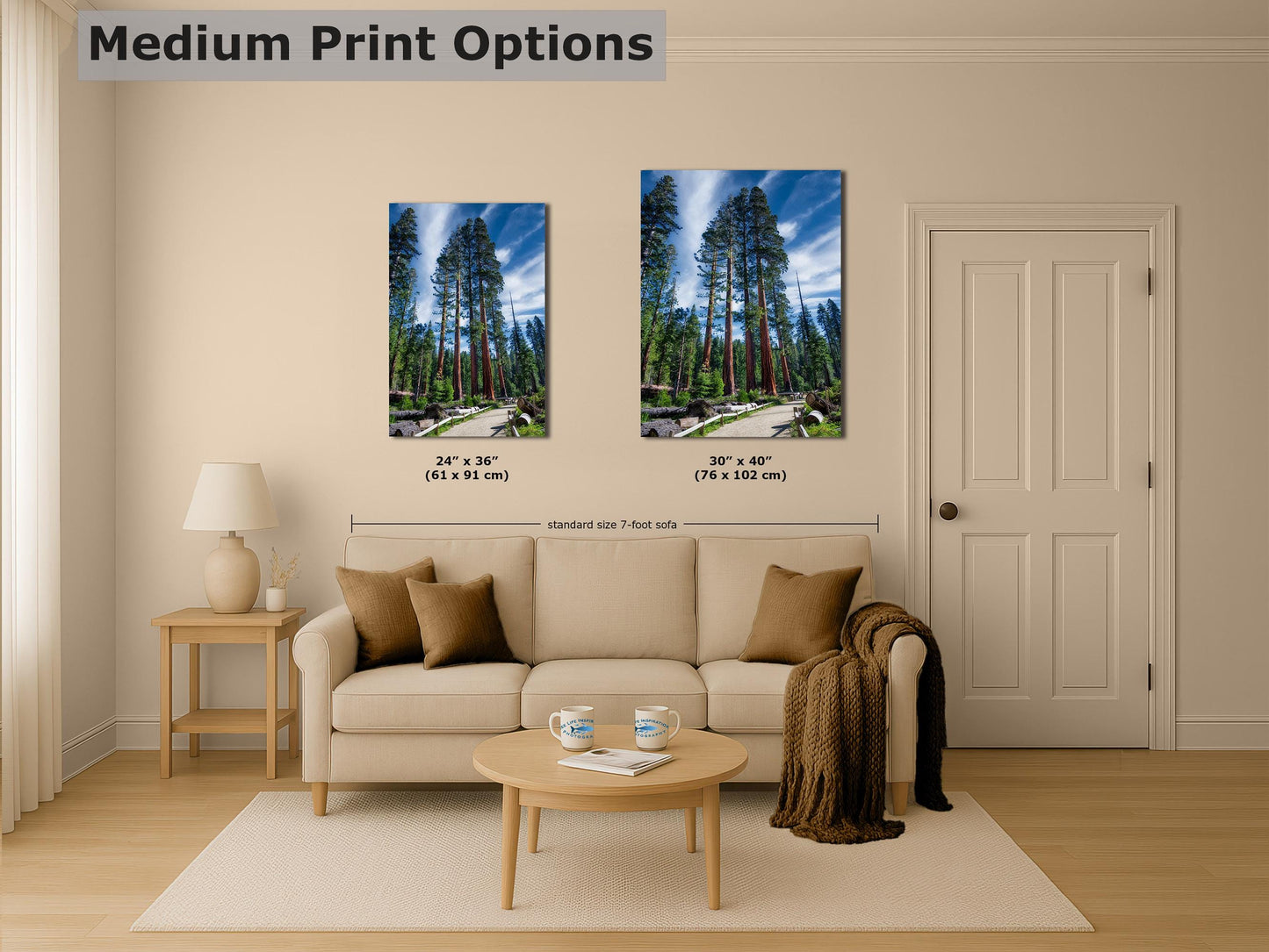 Giant Sequoia Tree Forest Picture Nature Photo, Redwood Trees Forest Bathing Decor, Relaxation Artwork for Home or Office