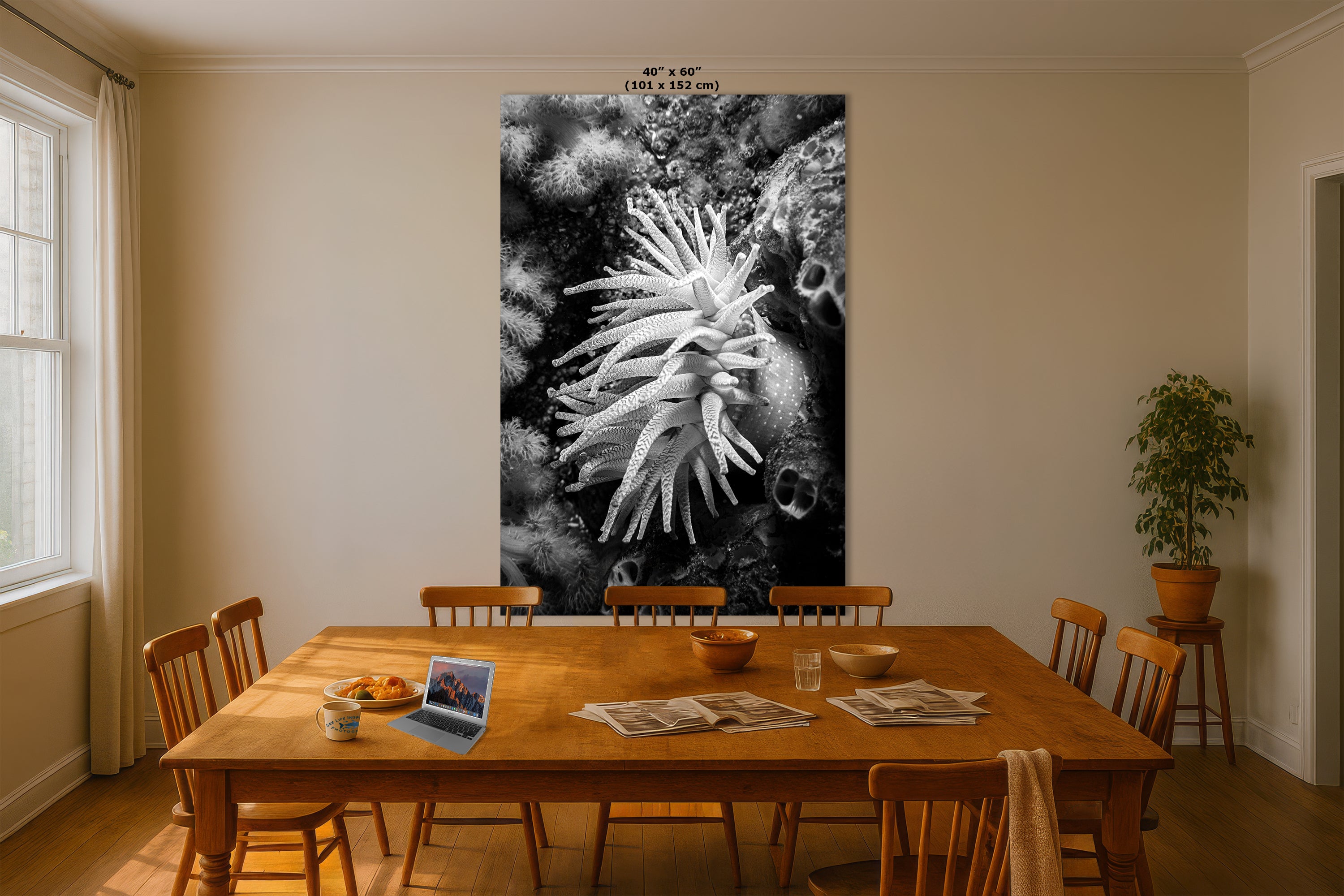 Sea Anemone Picture Ocean Life Underwater Scenery Nature Photo Black and White Art for Marine Biology, Ocean Lovers, and Relaxation Decor