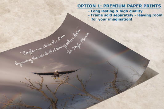 Myles Munroe Motivational Quote - Rise Above the Storm - Inspirational Wall Art, Peaceful Nature Photo Art