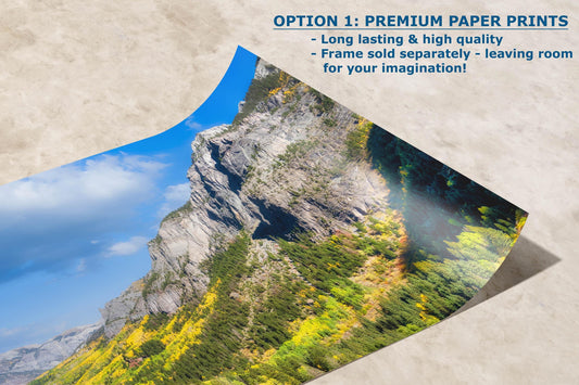 Colorado San Juan Mountain Picture, Fall Colors Aspen Trees Forest Picture Nature Photo for Relaxation Artwork, Meditation and House Decor