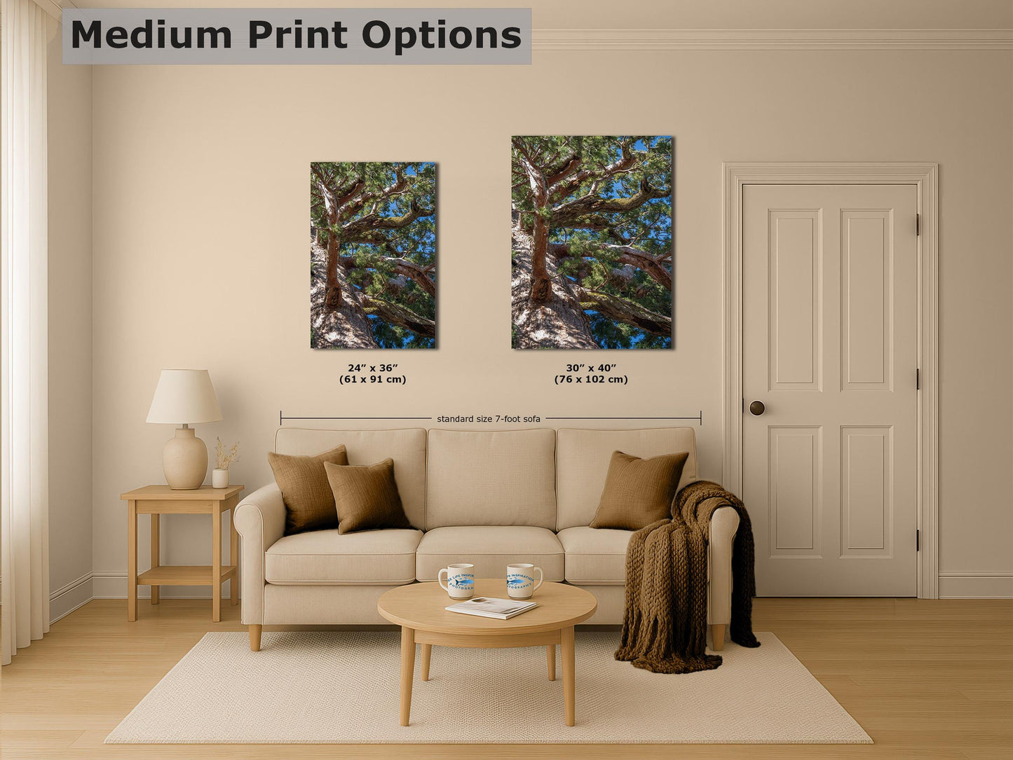 Giant Sequoia Tree Forest Picture Nature Photo, Yosemite Mariposa Grove Redwood Trees, Forest Bathing Relaxation Artwork for Nature Lovers