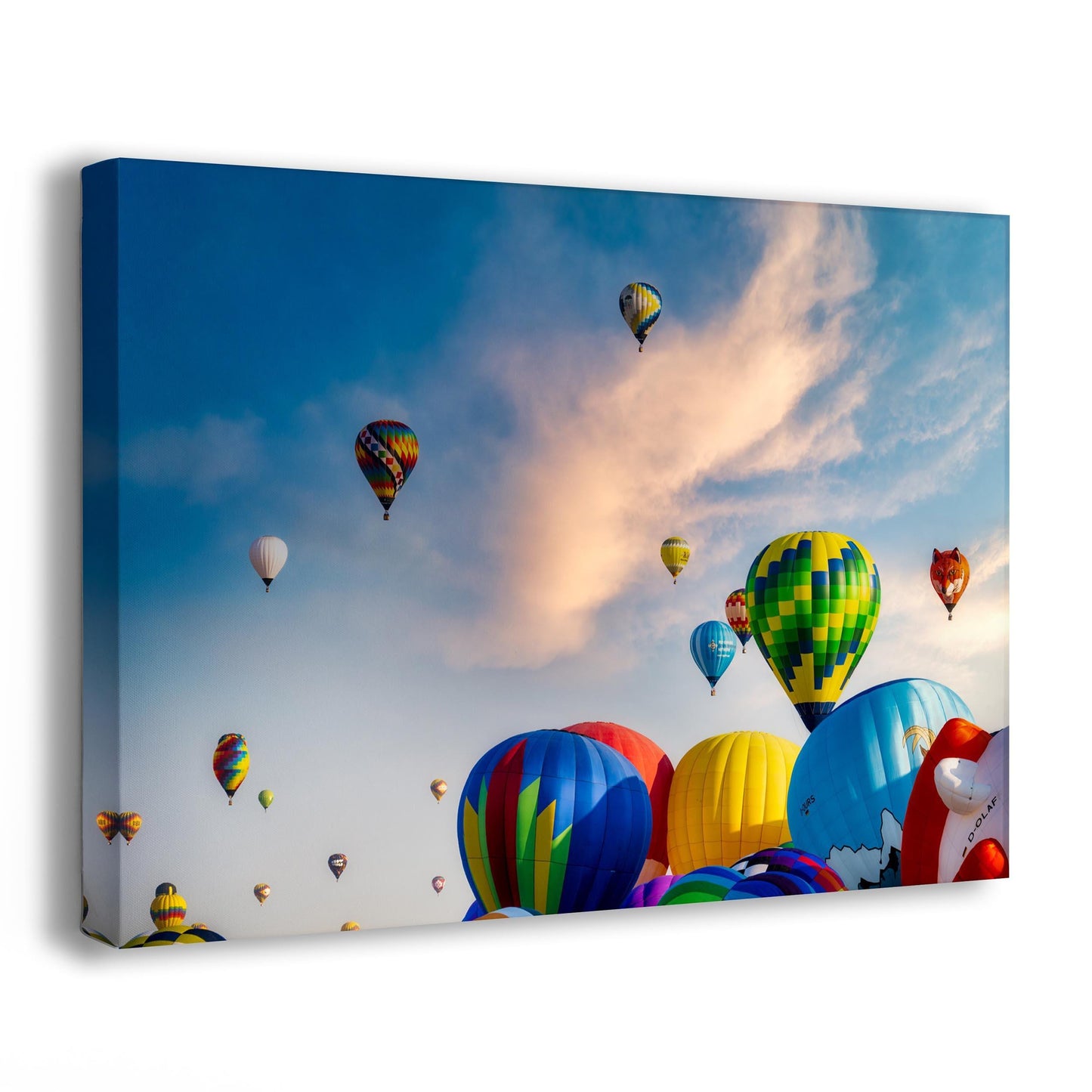 Hot Air Balloon Festival | Albuquerque New Mexico Balloon Fiesta Wall Art | Office, Cubicle & House Decor