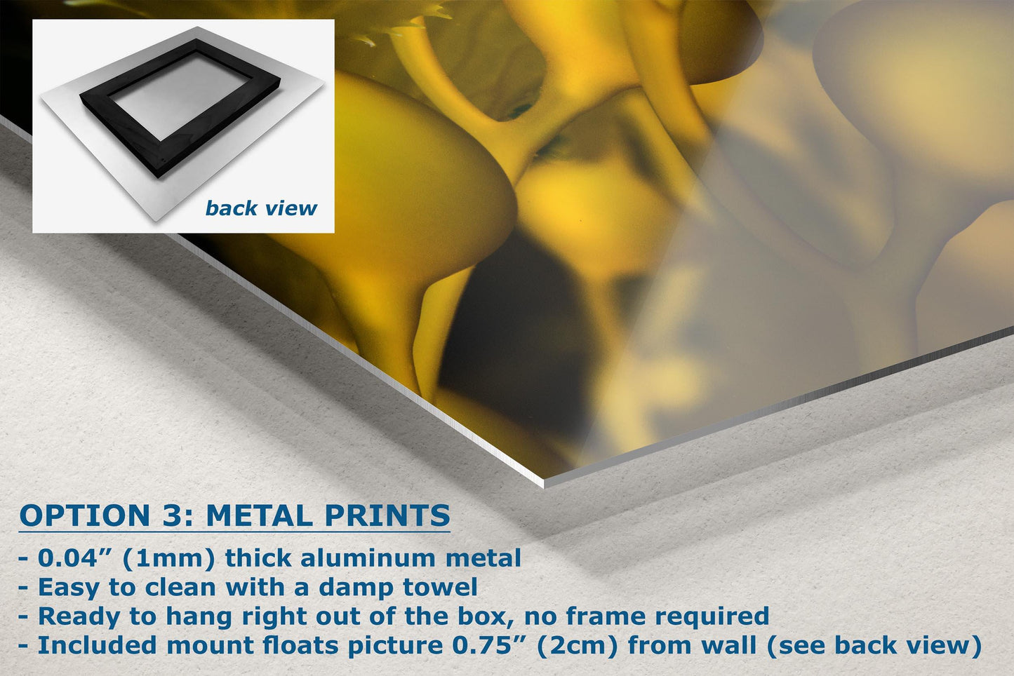 Kelp Forest Seaweed Pictures Underwater Scenery, Ocean Life Marine Biology Nature Photo Relaxation Artwork Decor for Office Dorm Room Decor