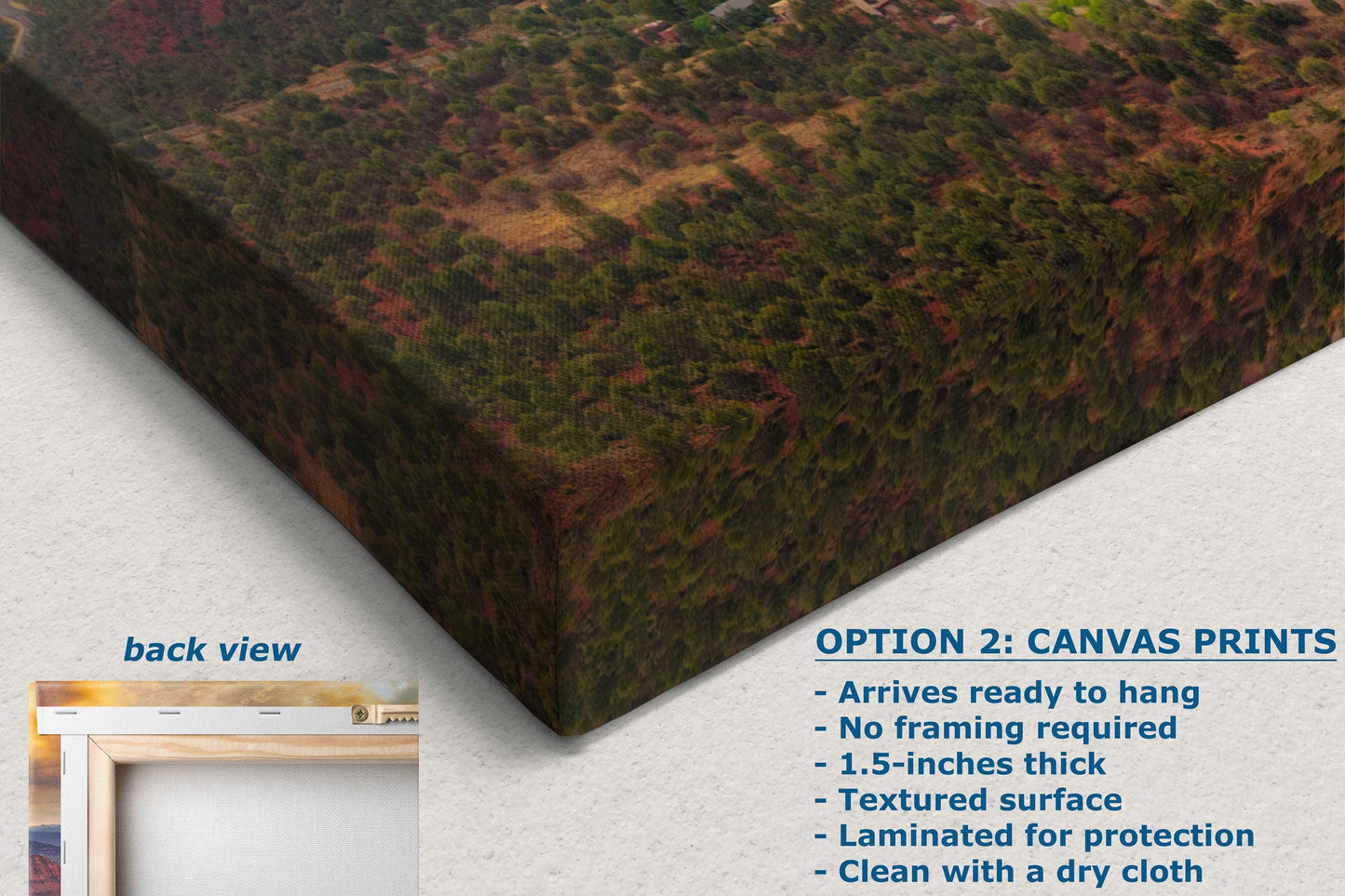 Cathedral Rock View, Sedona Arizona Desert Picture Nature Photo Relaxation Artwork for Meditation, Office, and House Decor