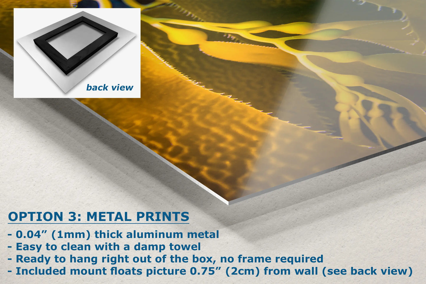 a close up of a metal print on a wall