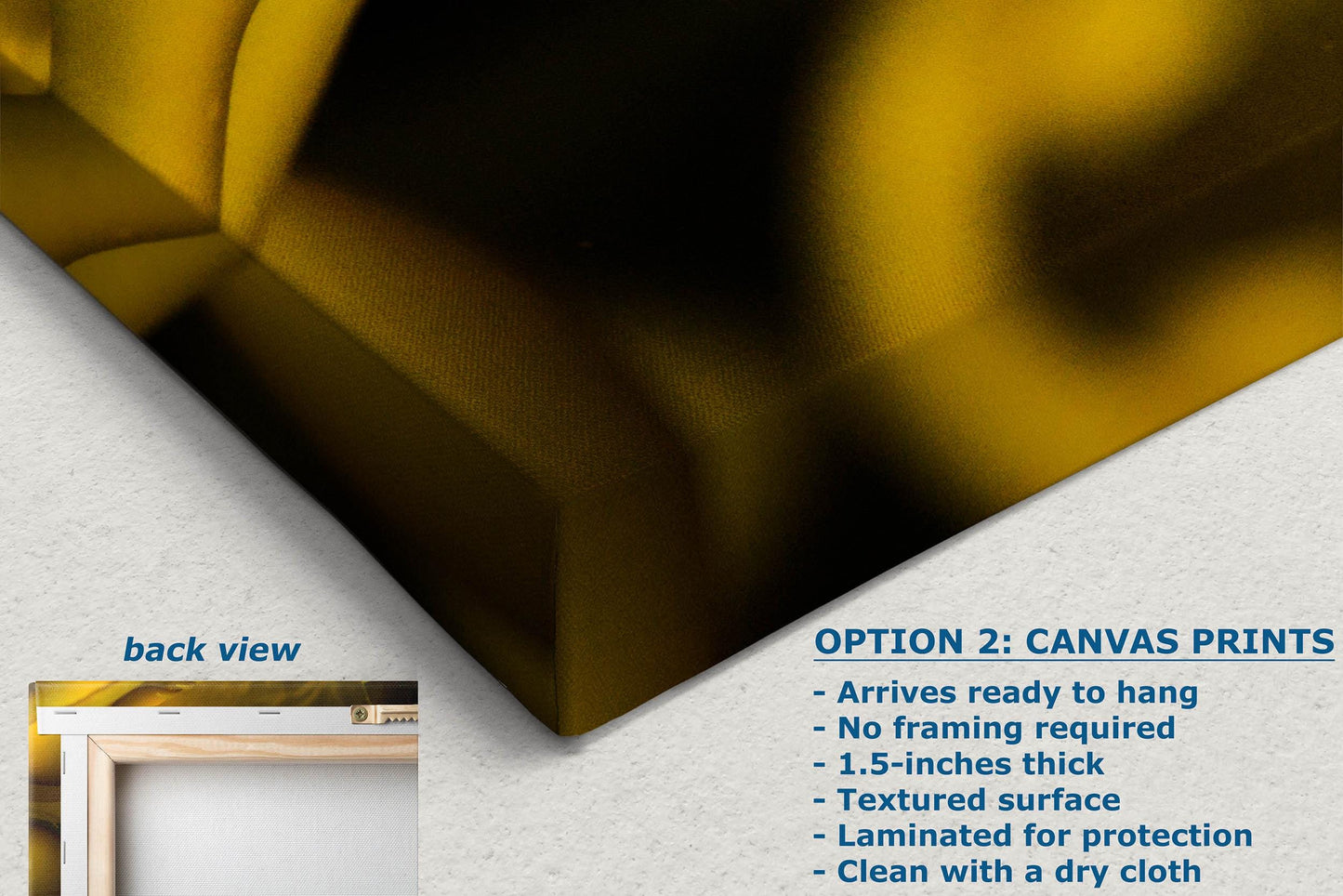 Kelp Forest Seaweed Pictures Underwater Scenery, Ocean Life Marine Biology Nature Photo Relaxation Artwork Decor for Office Dorm Room Decor