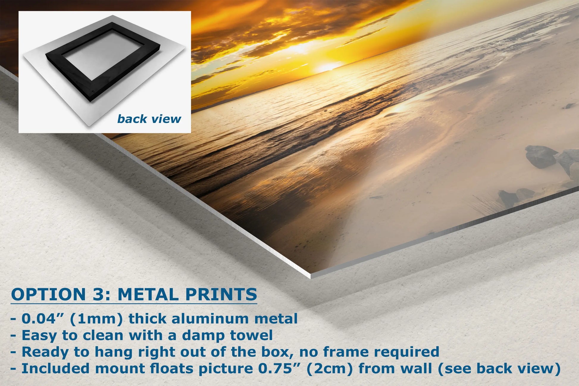 a poster with a picture of a dog on the beach