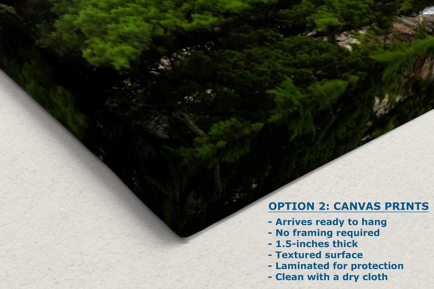 a close up of a box with moss growing on it