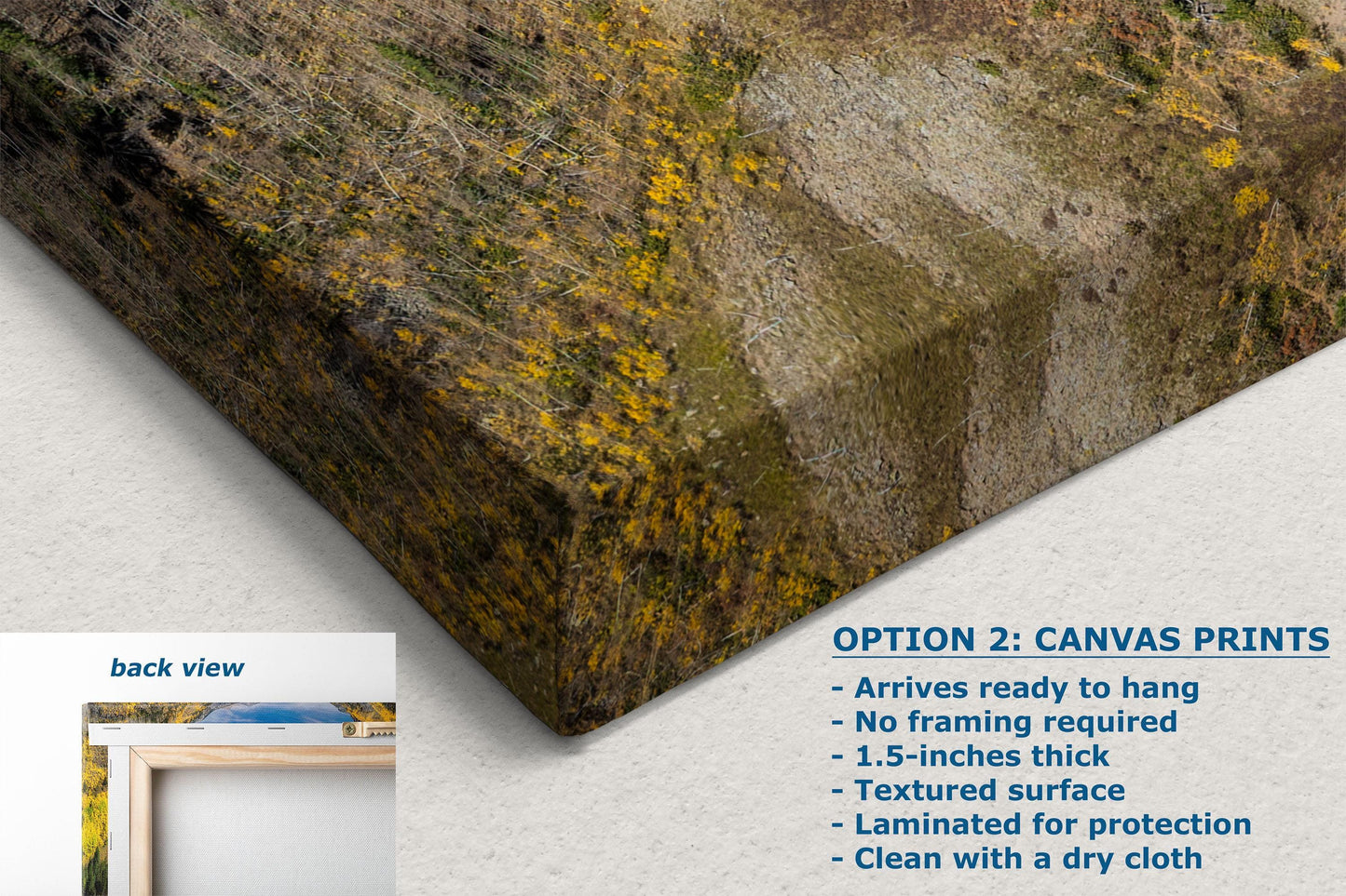 Colorado San Juan Mountain Picture, Million Dollar Highway Fall Colors Aspen Trees Forest Picture, Nature Photo for Relaxation Artwork, Meditation and House Decor