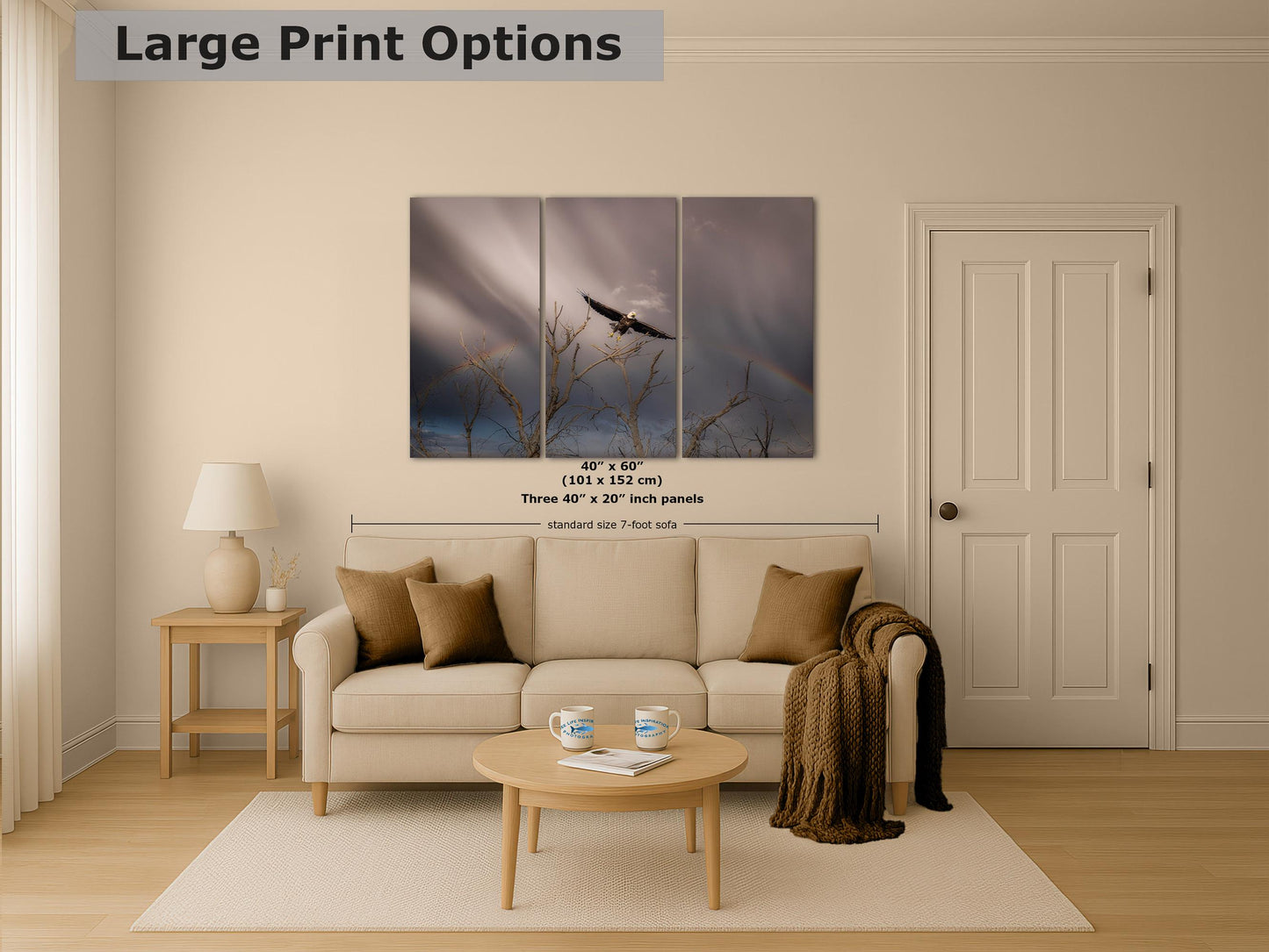 Soaring Bald Eagle Picture Wildlife Photography Wall Art, Nature Photo, Bird Photography, Rustic Cabin Decor, Office or Dorm Room Wall Decor
