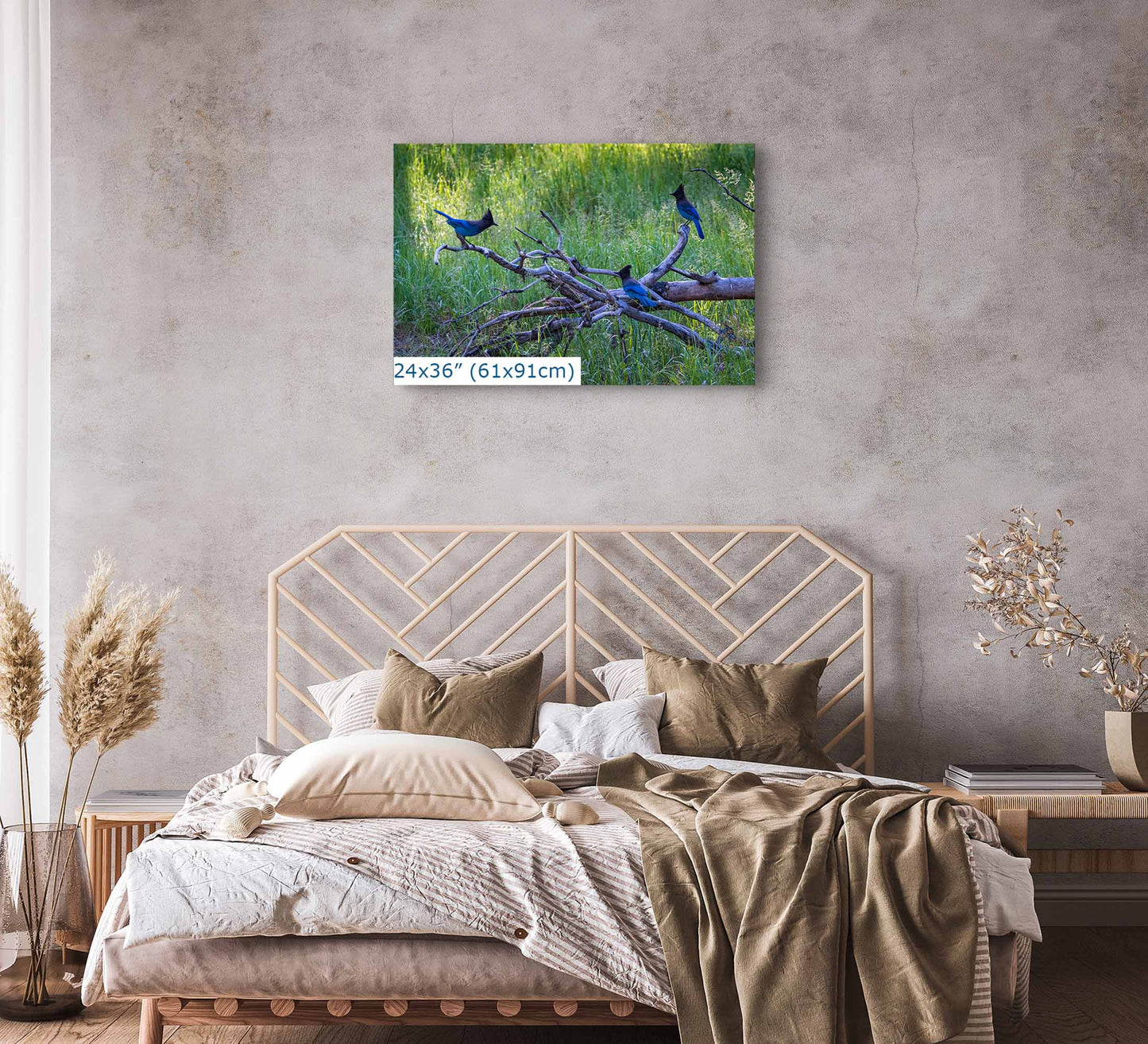 Stellar Jay Bird Wall Art, Yosemite Nature Photography Wildlife Decor for the Bird Lover