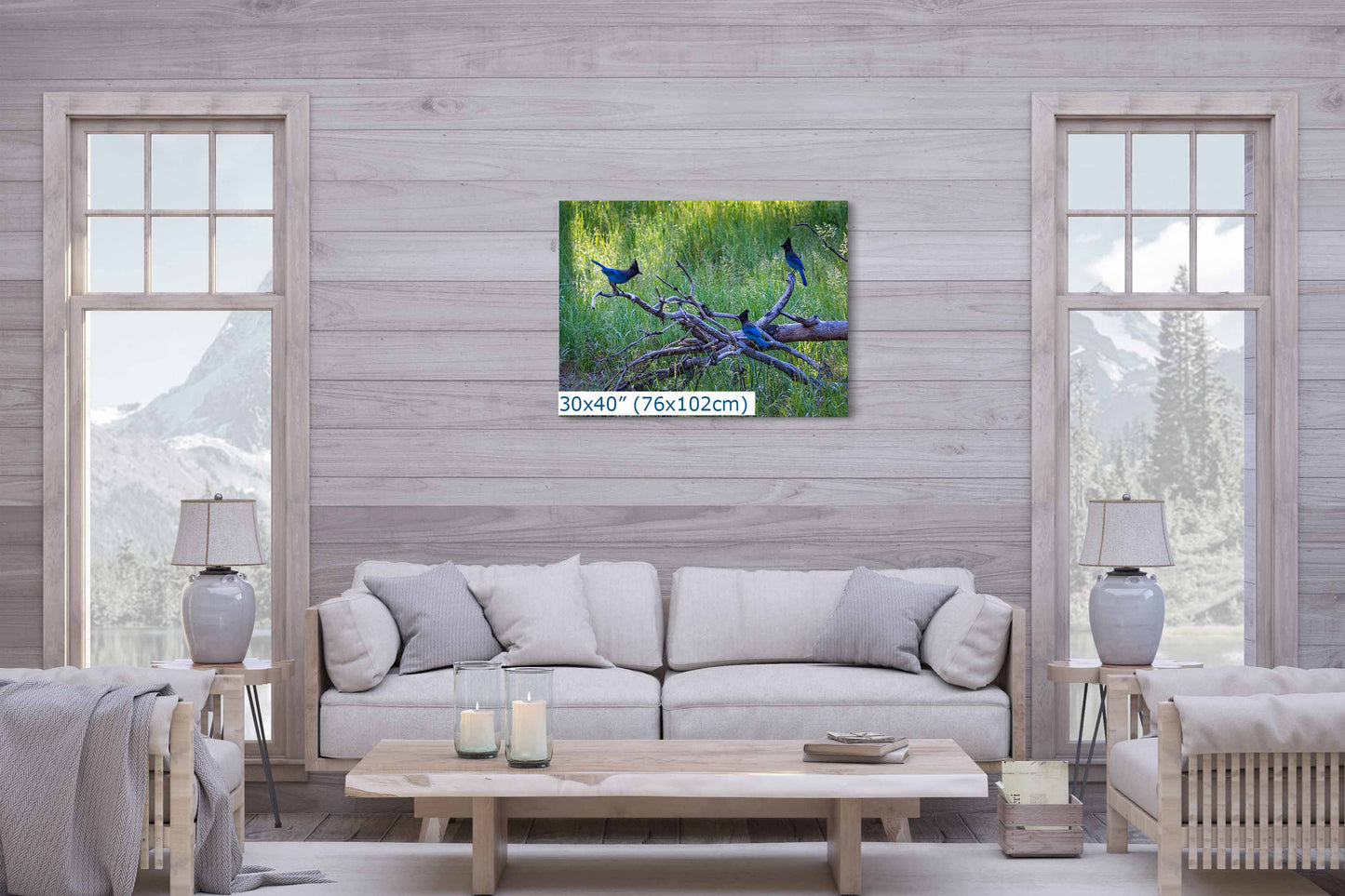 Stellar Jay Bird Wall Art, Yosemite Nature Photography Wildlife Decor for the Bird Lover