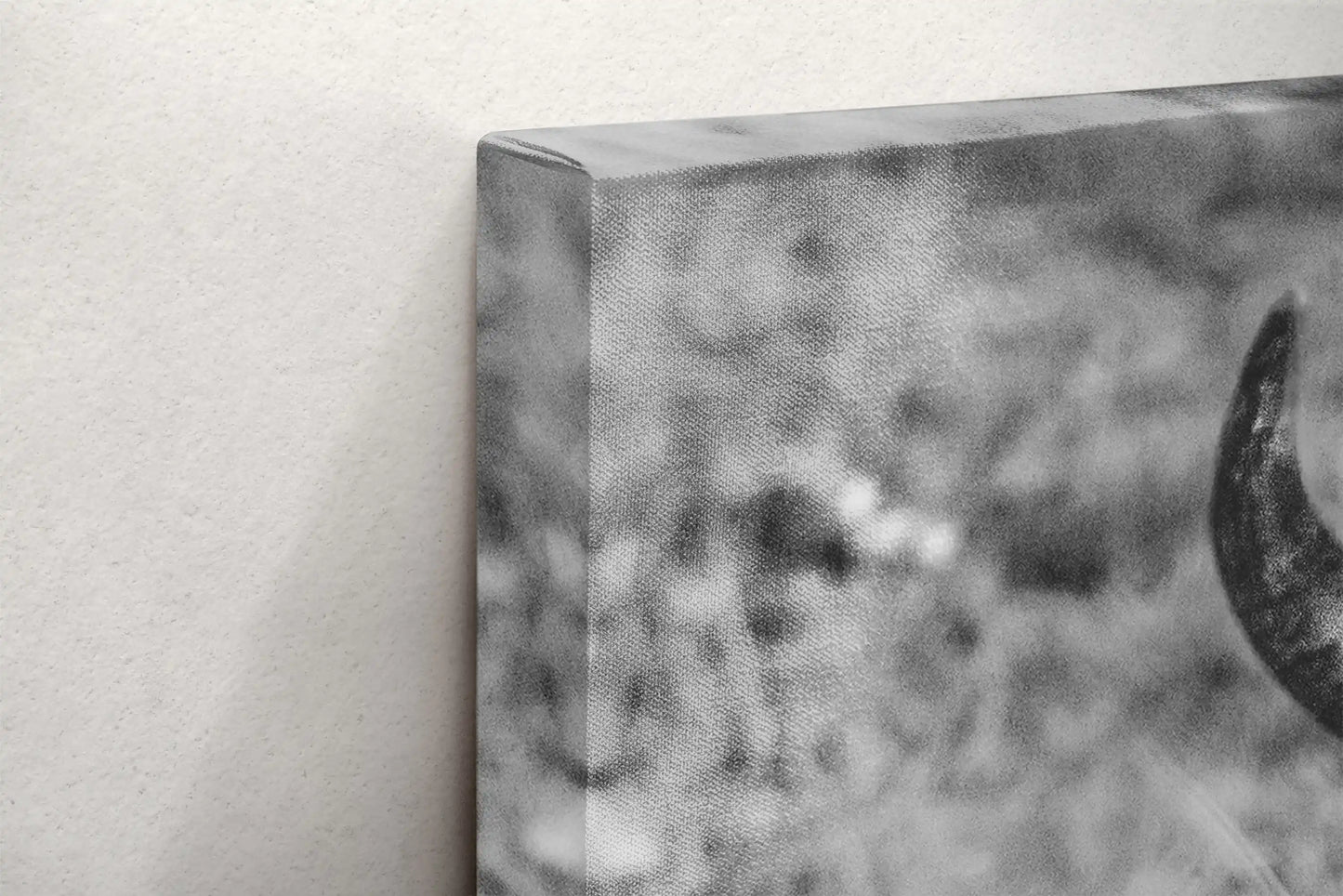 A detailed close-up of the canvas texture on a black and white bison print, emphasizing the fine details of the photograph.