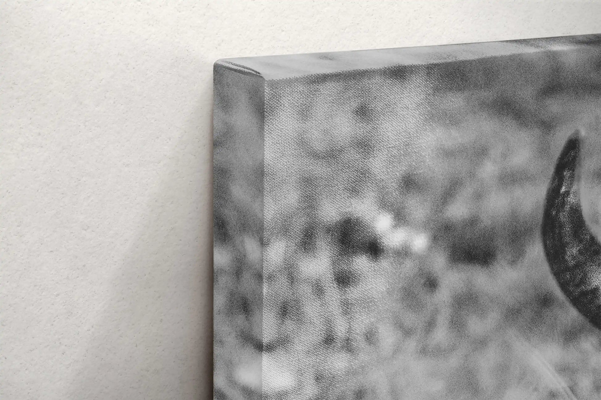 A detailed close-up of the canvas texture on a black and white bison print, emphasizing the fine details of the photograph.