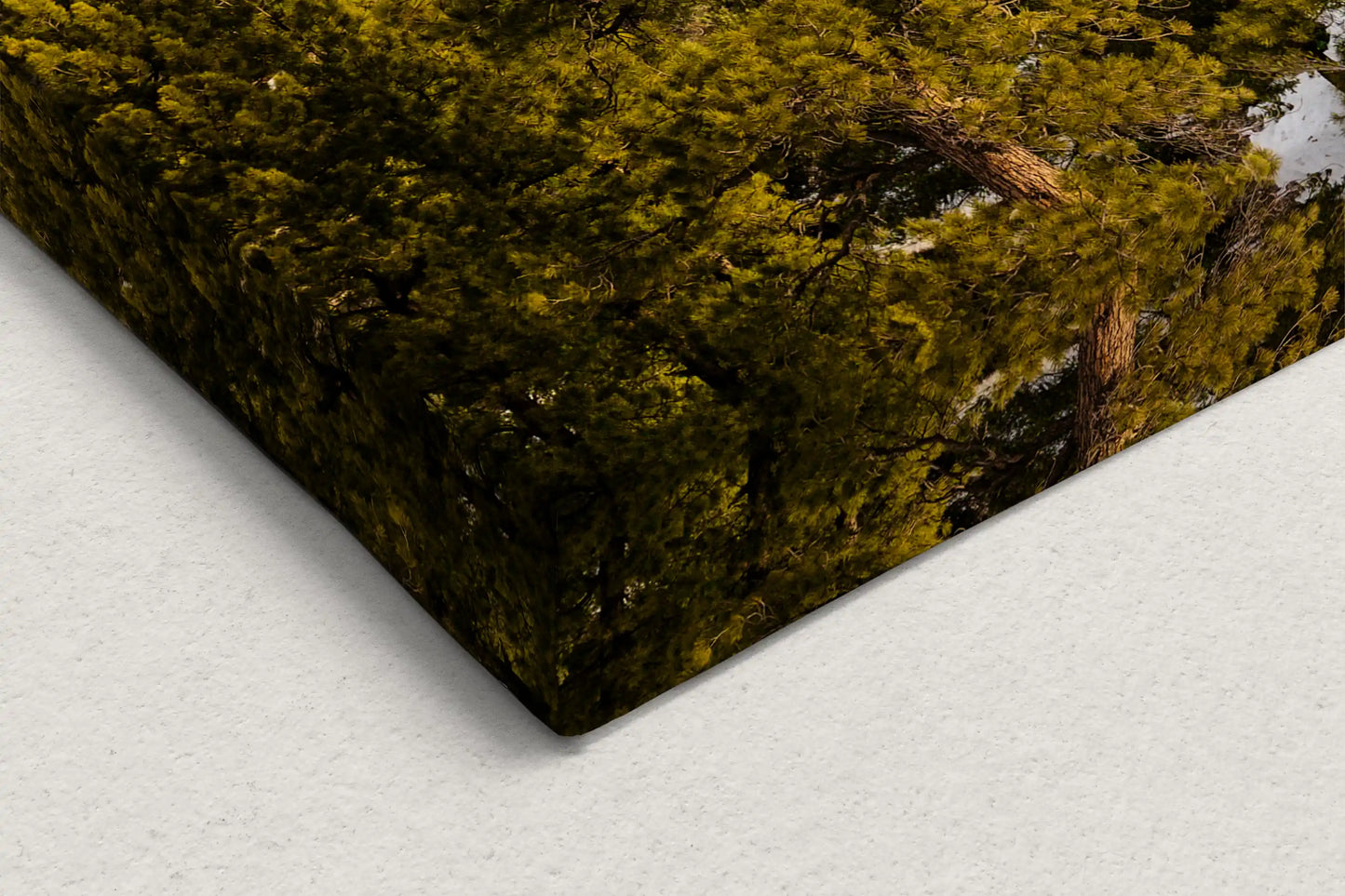 The texture of a canvas corner featuring Fletcher Peak at Mt Charleston, illustrating the meticulous detail and craftsmanship that invites a calming, meditative presence.