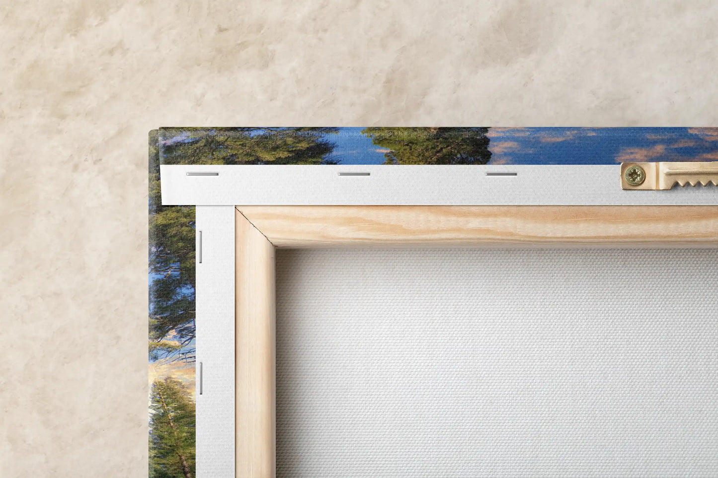 Giant Sequoia Tree Photograph Canvas Art close up showing detail of back