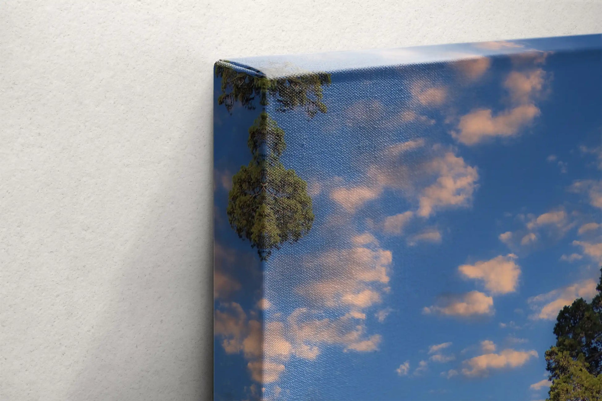 Giant Sequoia Tree Photograph Canvas Art close up showing detail