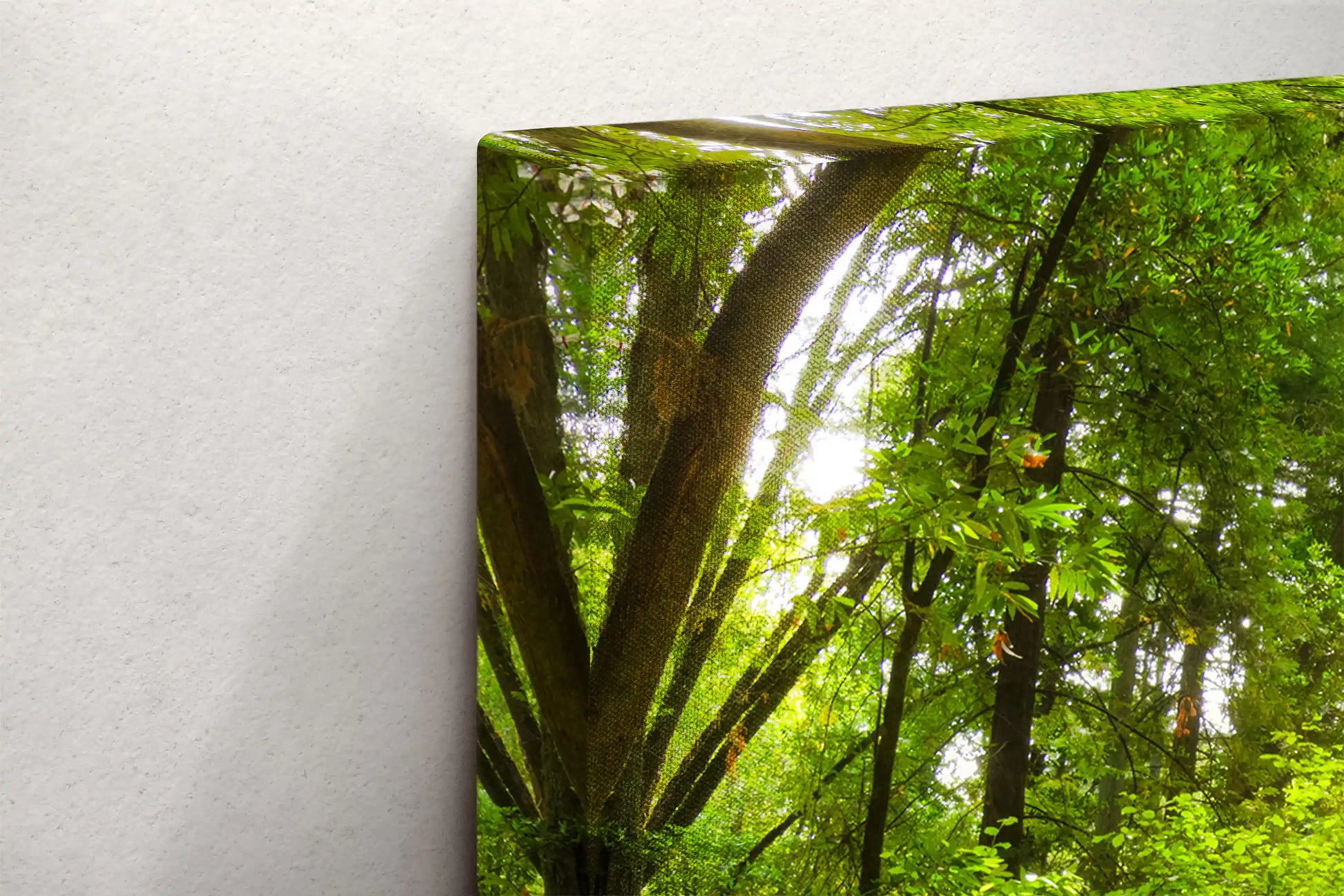 Side view of a canvas print, displaying a dense forest scene with the image wrapped around the edge.