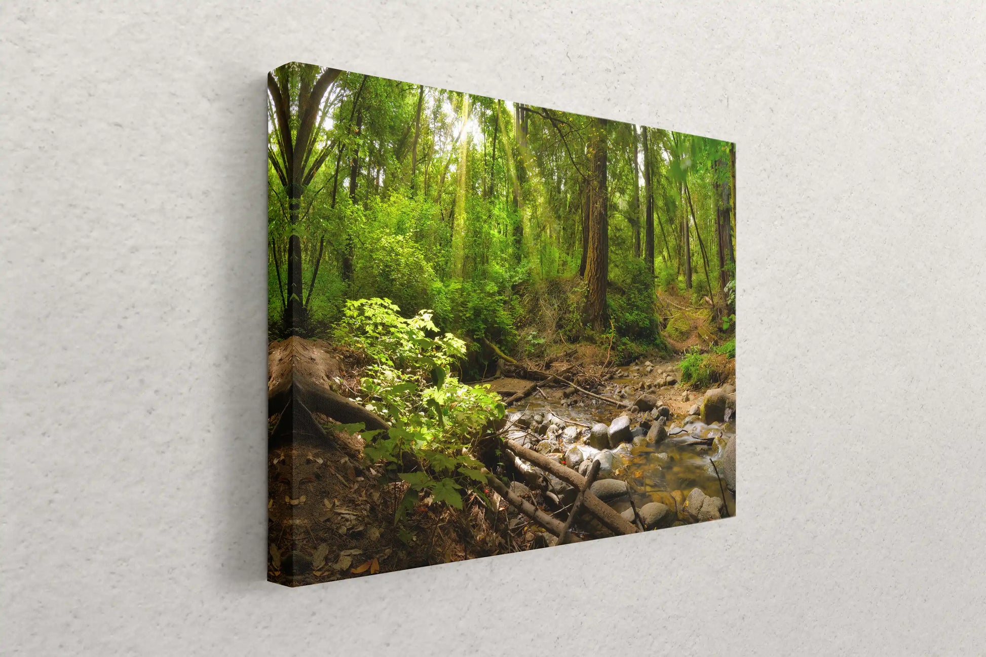Canvas print on a wall featuring a serene forest scene with tall trees and dappled sunlight.
