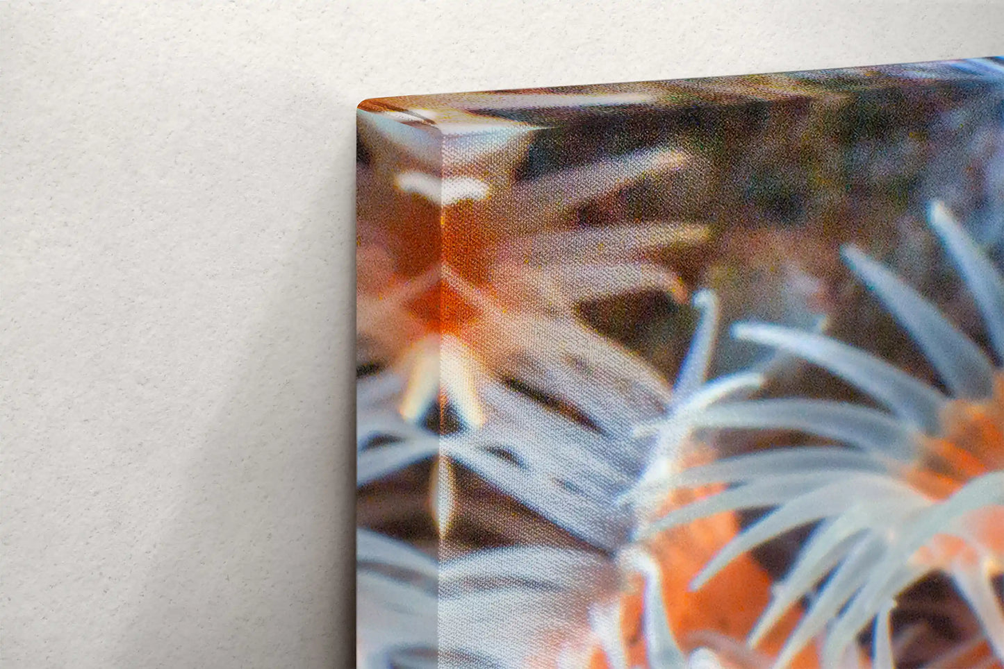 Side view of canvas edge featuring light orange zoanthid underwater art, emphasizing the depth of the canvas frame.
