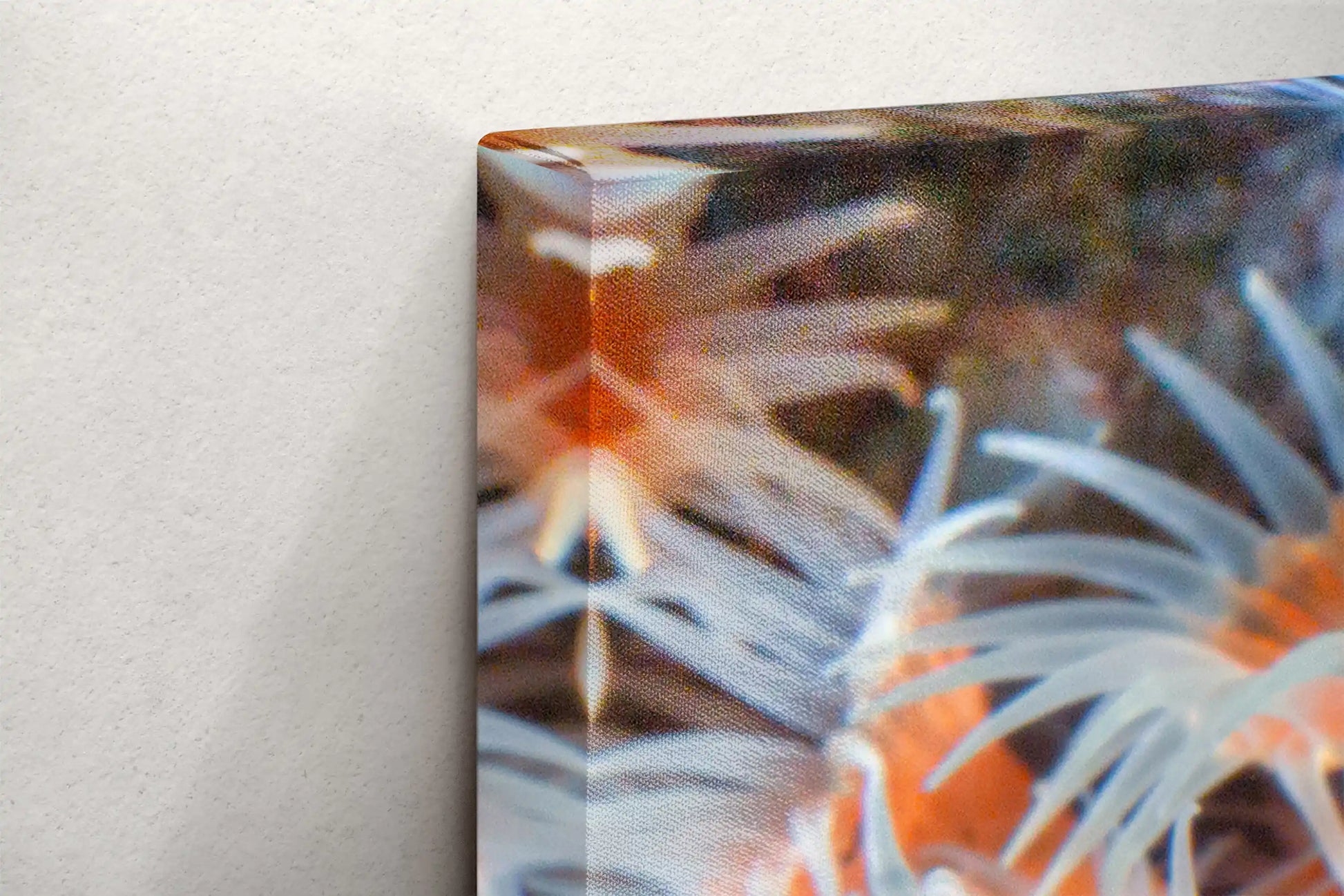 Side view of canvas edge featuring light orange zoanthid underwater art, emphasizing the depth of the canvas frame.