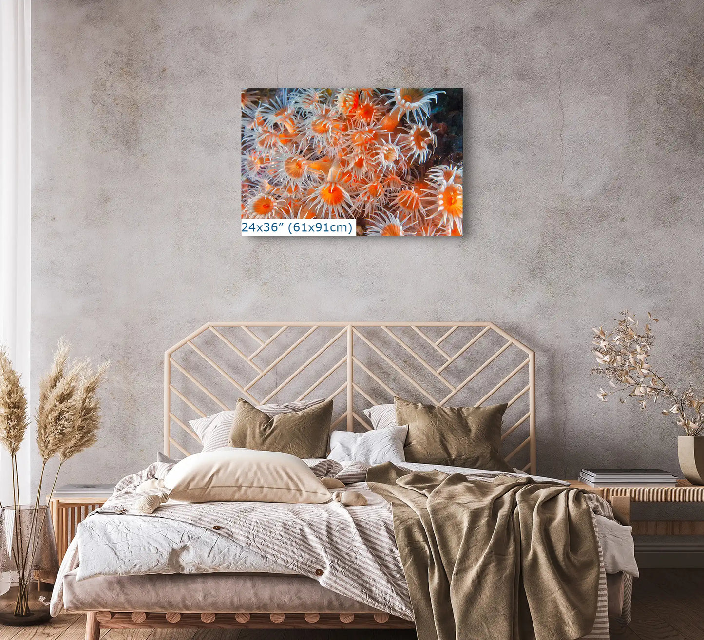 A 24x36 inch canvas print above a bed, showing a detailed and colorful underwater zoanthid scene.