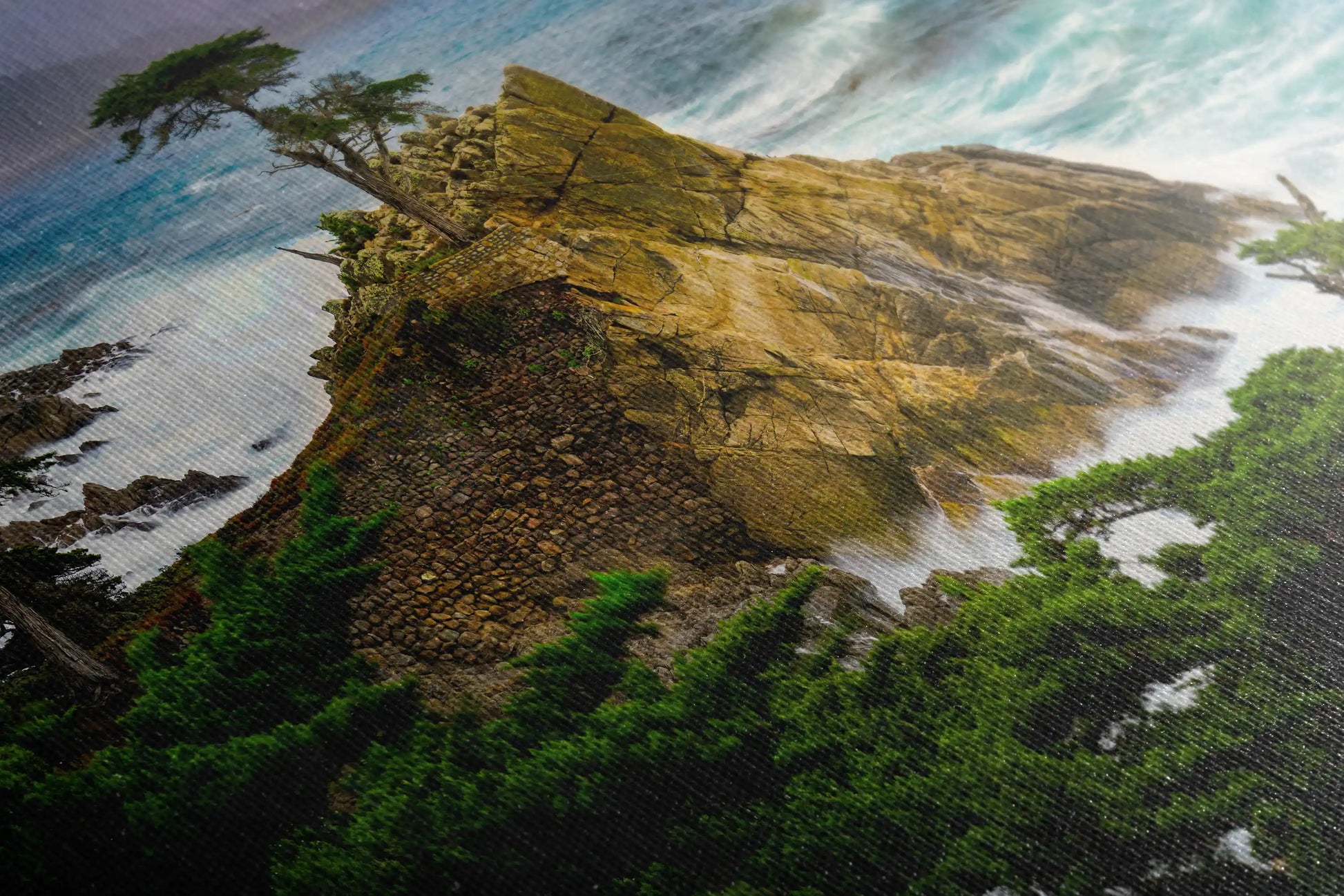 Lone Cypress Photograph Wall Decor close up of canvas texture