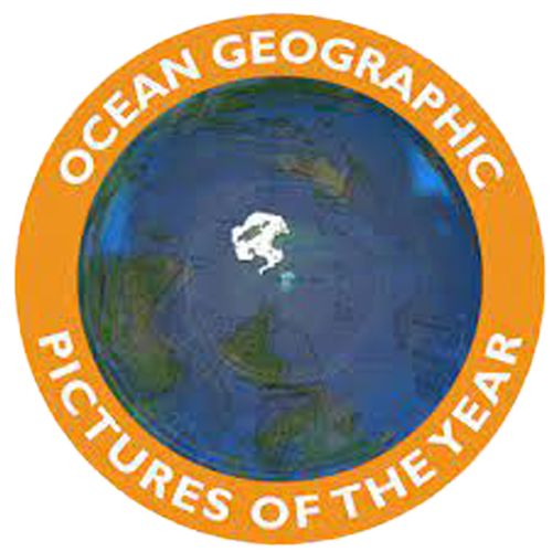 ocean geographic pictures of the year logo