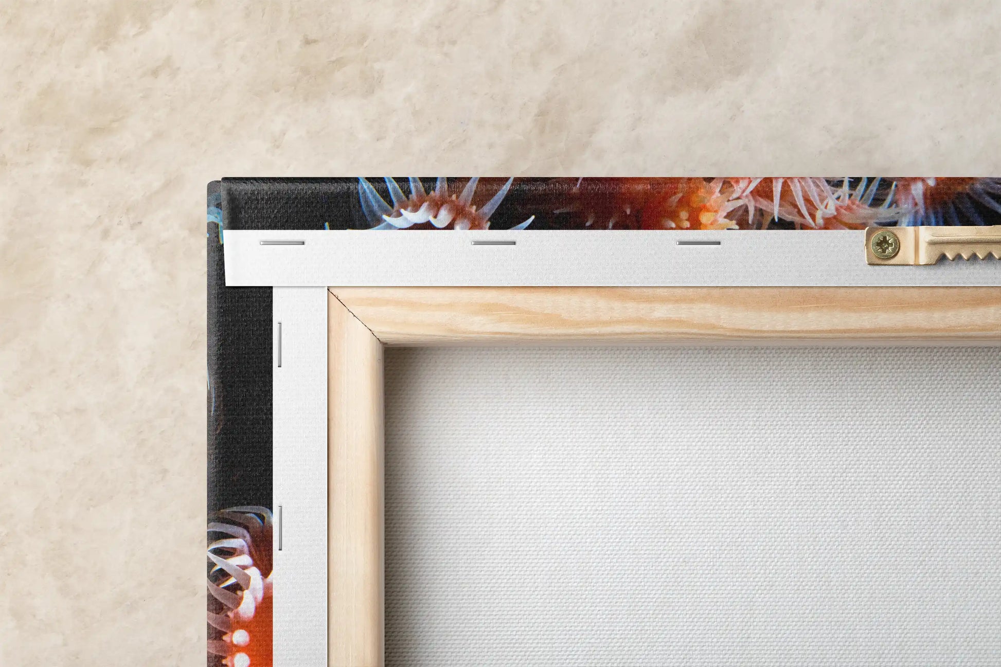 Close-up of canvas corner showing light orange zoanthid underwater art with white mounting bracket against a cream wall.