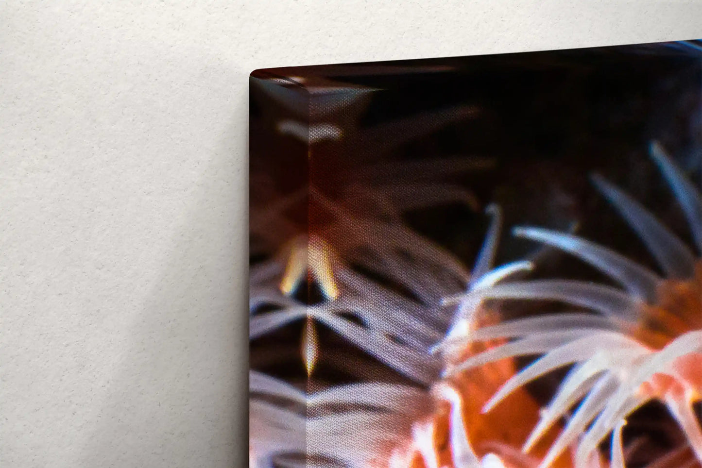 Corner view of canvas edge featuring light orange zoanthid underwater art, emphasizing the depth of the canvas frame.