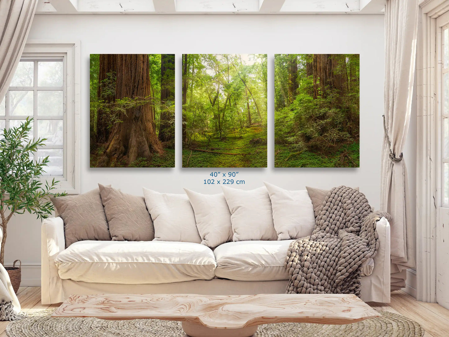 California Redwoods Canvas in 3-piece triptych shown in 40x90 over living room couch